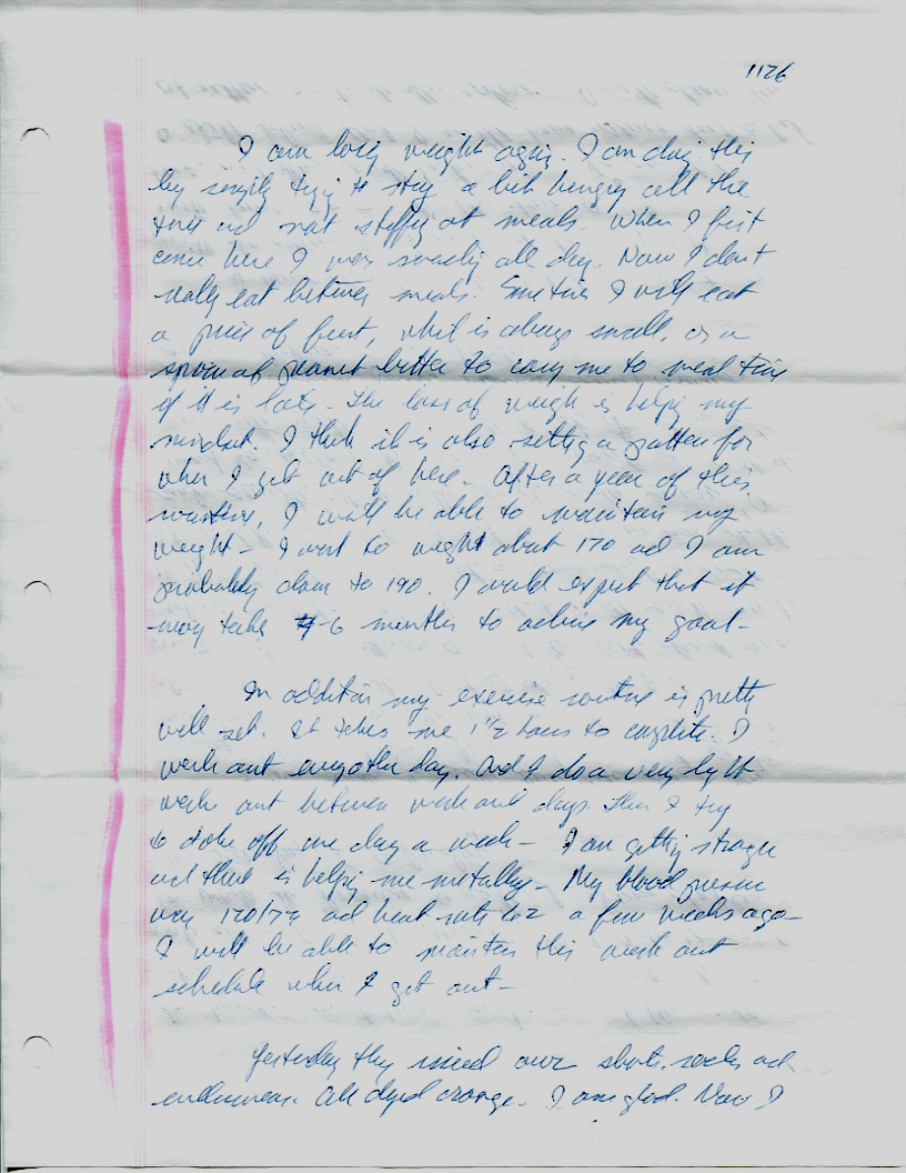 Dr John WorldPeace 2008 Prison Journal